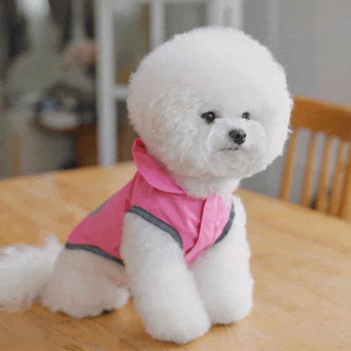 리얼펫 리얼 5color 강아지 우비 레인코트 비옷 (S~XL)