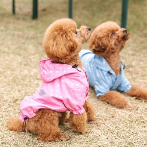 리얼펫 엔젤 2color 강아지 우비 레인코트 비옷 (S~XL)
