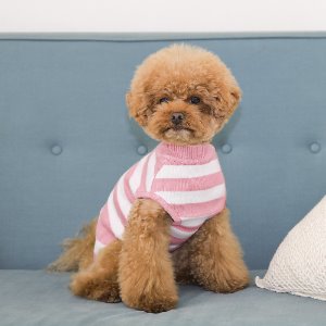 리얼펫 스트라이프 핑크 강아지옷 애견옷 애견의류