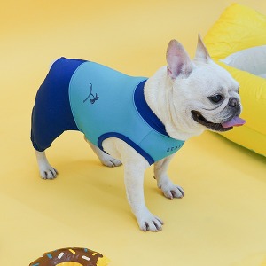 리얼펫 컬러팝 올인원 래쉬가드 (블루)강아지 수영복 강아지옷